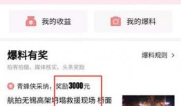 今日头条视频爆料,揭秘XX惊人内幕！