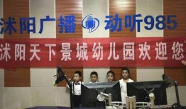 沭阳电视台爆料事件视频,真相揭露，舆论漩涡中的真相探寻