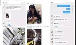 调侃爆料营销号视频,揭秘调侃爆料视频的幕后黑幕