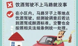 深圳外卖车爆料视频曝光,揭秘外卖行业背后真相