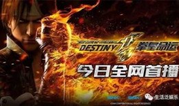 动漫拳皇命运在线观看