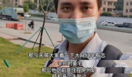 爆料网红辛巴视频在线观看,视频在线观看背后的故事