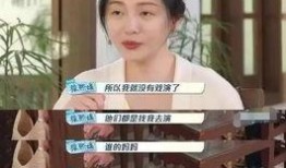 海清爆料宋佳视频大全集,揭秘娱乐圈背后的风云变幻