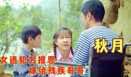 8回家在线观看,穿越时空的温馨之旅