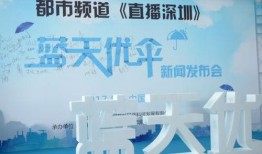 深圳都市频道新闻爆料,揭秘某事件背后真相