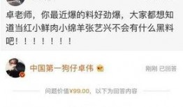 娱乐圈卓伟爆料过的明星,揭秘那些被隐藏的明星秘密