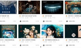 娱乐独家爆料后续怎么写,揭秘幕后真相，明星动态大揭秘！