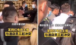 爆料网红辛巴视频在线观看,视频在线观看背后的故事