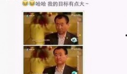 小强爆料苗阜完整视频,小强爆料背后的真相与笑料