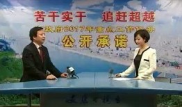 苦干在线观看,奋斗者的热血征程