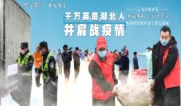 深圳都市频道新闻爆料,揭秘某事件背后真相