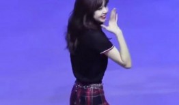 娱乐社爆料lisa,娱乐社独家爆料背后的故事