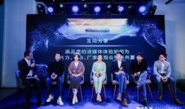 武林大会爆料新闻视频播放,幕后风云与精彩瞬间