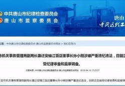 河北唐山今日爆料新闻,聚焦今日热点事件