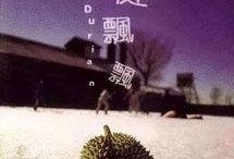 榴莲飘飘在线观看,一场味蕾与情感的奇幻之旅