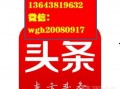 湛江今日头条新爆料