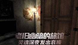恐怖旅舍 在线观看,惊悚之夜，在线惊悚体验