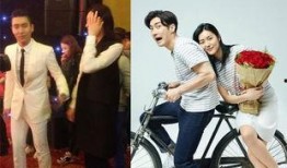 爆料成雅夫妇视频,揭秘明星夫妻的甜蜜瞬间