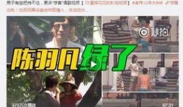 演员何庚原爆料视频播放,视频播放背后的惊人内幕