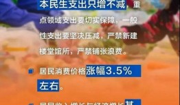 百姓爆料政府事件视频大全,真实记录与反思