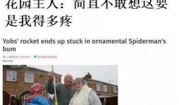 漳州奇葩爆料新闻报道,奇葩爆料引热议，揭秘当地另类新闻事件