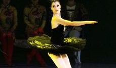 独舞天鹅爆料视频,视频背后惊人真相曝光