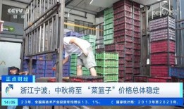 央视爆料物流事件视频,揭秘背后真相与挑战