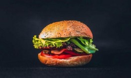 中国汉堡爆料视频最新版