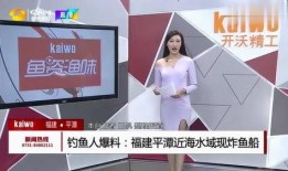 钓鱼爆料视频下载安装免费,免费下载安装背后的真相