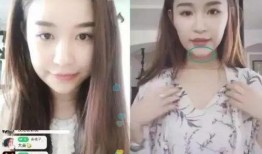 最新爆料各大网红,揭秘各大网红背后的秘密与争议