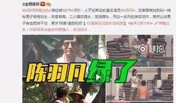 范成林女友爆料视频播放,揭秘背后真相