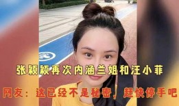 兰姐爆料汪小菲视频大全,汪小菲视频大全背后的故事