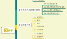 爆料安阳酒吧视频大全集,揭秘夜生活狂欢现场