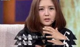 娱乐爆料何洁是谁扮演的,娱乐圈新晋小花旦的精彩演绎