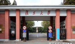 新真在线观看全集,揭秘剧情高潮与精彩瞬间