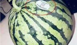 茂名网红吃瓜,揭秘网络红人的幕后故事