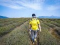 娱乐吃瓜酱徒步二十里,娱乐吃瓜酱的户外探险之旅