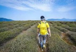 娱乐吃瓜酱徒步二十里,娱乐吃瓜酱的户外探险之旅