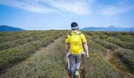 娱乐吃瓜酱徒步二十里,娱乐吃瓜酱的户外探险之旅