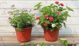 今年爆料新闻最新消息视频