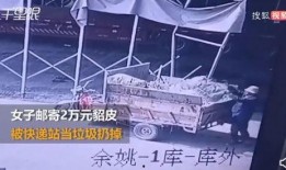 刘先生爆料深圳工厂视频,深圳工厂真实工作环境大揭秘