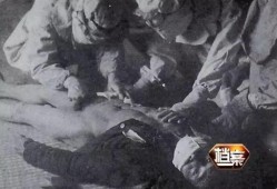 731部队在线观看,在线观看揭示的战争罪行与历史真相