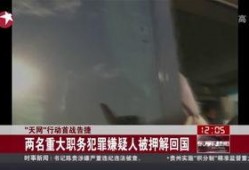 天网2015全集在线观看,揭秘网络犯罪背后的真相