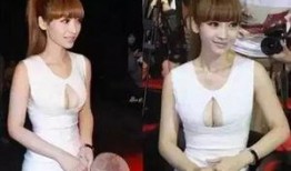 柳岩综艺爆料视频大全最新,独家视频盘点，笑料与感动并存