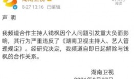 湖南娱乐圈爆料事件,揭秘娱乐圈背后的真相