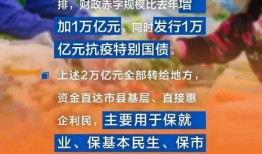 百姓爆料政府事件视频大全,真实记录与反思