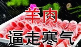 吃瓜五小姐全集免费阅读,娱乐圈风云录