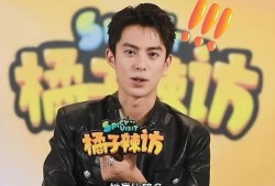 王鹤棣女友爆料视频,揭秘明星恋情背后的真相
