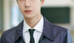 王一博爆料刘宪华视频,背后故事引热议