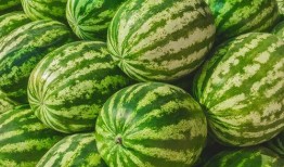 娱乐圈吃瓜要吃就吃个够,一网打尽，吃个够！